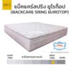 backcare spring eurotop darling