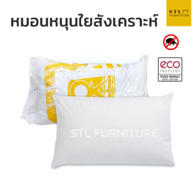 หมอนหนุน ok