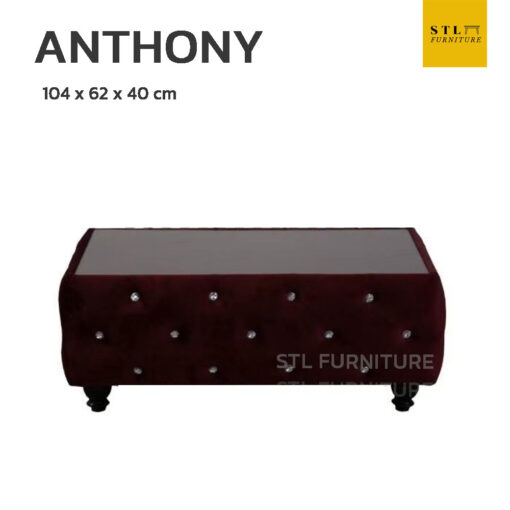 โต๊ะกลางโซฟา ANTHONY