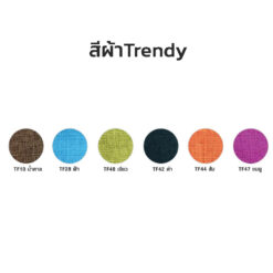 สีผ้า trendy โซฟา ไทโย