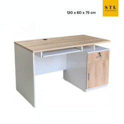 โต๊ะทำงาน 120 cm สีมินิมอล 1 ช่องเก็บของ 1 ลิ้นชัก 1 ตู้เก็บของ